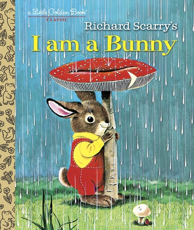 LGB I Am A Bunny